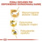 ROYAL CANIN Dachshund karma mokra 85g