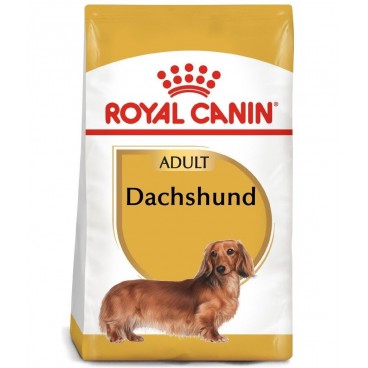 ROYAL CANIN Dachshund  karma sucha dla psów dorosłych rasy jamnik