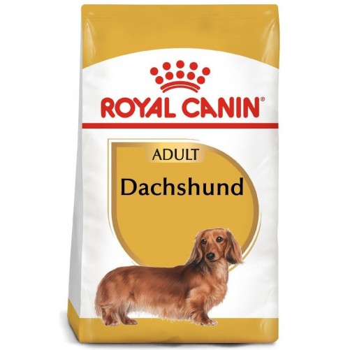 ROYAL CANIN Dachshund  karma sucha dla psów dorosłych rasy jamnik