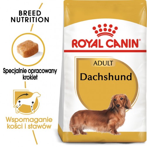 ROYAL CANIN Dachshund  karma sucha dla psów dorosłych rasy jamnik