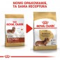 ROYAL CANIN Dachshund  karma sucha dla psów dorosłych rasy jamnik