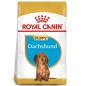 ROYAL CANIN Dachshund Puppy karma sucha dla szczeniąt do 10 miesiąca, rasy jamnik 1,5kg