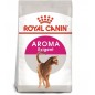 ROYAL CANIN  Exigent Aromatic Attraction 33