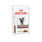 ROYAL CANIN Gastro Intestinal 12x85g