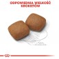 ROYAL CANIN Giant Junior karma sucha dla szczeniąt od 8 do 18/24 miesiąca życia, ras olbrzymich