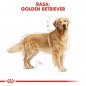 ROYAL CANIN Golden Retriever Adult