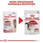 ROYAL CANIN  Instinctive w galaretce karma mokra w galaretce dla kotów dorosłych, wybrednych