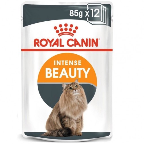 ROYAL CANIN Intense Beauty w galaretce karma mokra dla kotów dorosłych, zdrowa skóra, piękna sierść