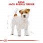 ROYAL CANIN Jack Russell Terrier Adult