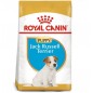 ROYAL CANIN Jack Russell Terrier Puppy