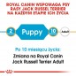 ROYAL CANIN Jack Russell Terrier Puppy