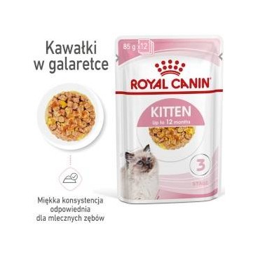 ROYAL CANIN Kitten Instinctive w galaretce