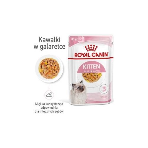 ROYAL CANIN Kitten Instinctive w galaretce