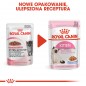 ROYAL CANIN Kitten Instinctive w galaretce