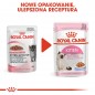 ROYAL CANIN Kitten Instinctive w galaretce karma mokra w galaretce dla kociąt do 12 miesiąca życia