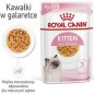 ROYAL CANIN Kitten Instinctive w galaretce karma mokra w galaretce dla kociąt do 12 miesiąca życia