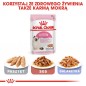 ROYAL CANIN Kitten Sterilised 4kg - karma sucha dla kociąt od 4 do 12 miesiąca życia