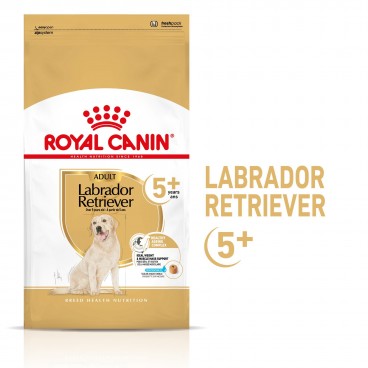 Royal Canin Labrador Retriever Adult 5+ karma sucha dla dojrzałych psów rasy yorkshire terrier, powyżej 5 roku życia - 12kg