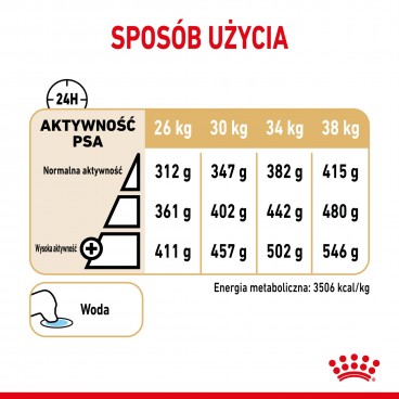 Royal Canin Labrador Retriever Adult 5+ karma sucha dla dojrzałych psów rasy yorkshire terrier, powyżej 5 roku życia - 12kg