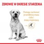 Royal Canin Labrador Retriever Adult 5+ karma sucha dla dojrzałych psów rasy yorkshire terrier, powyżej 5 roku życia - 12kg