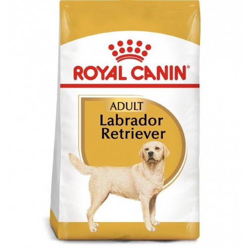 ROYAL CANIN Labrador Retriever Adult