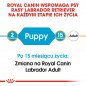 ROYAL CANIN Labrador Retriever Puppy