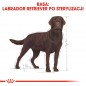 ROYAL CANIN Labrador Retriever Sterilised Adult 12kg