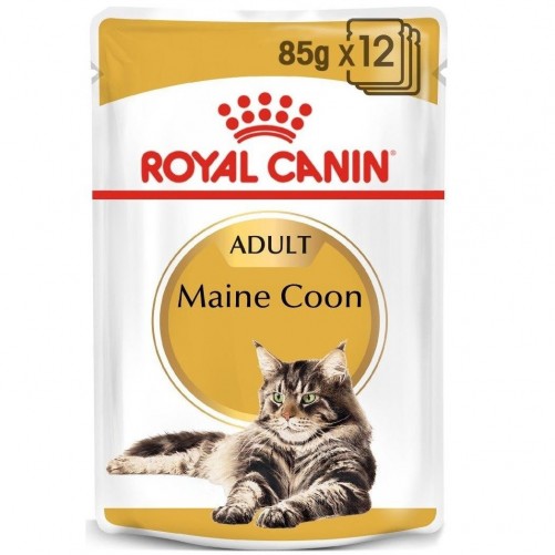 ROYAL CANIN Maine Coon 85g