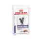 Royal Canin Mature Consult Balance 85g