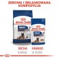 ROYAL CANIN Maxi Ageing karma mokra w sosie dla psów dojrzałych po 8 roku życia, ras dużych