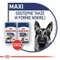 ROYAL CANIN Maxi Ageing karma mokra w sosie dla psów dojrzałych po 8 roku życia, ras dużych