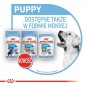 ROYAL CANIN Maxi Puppy karma mokra w sosie dla szczeniąt do 15 miesiąca życia,  ras dużych