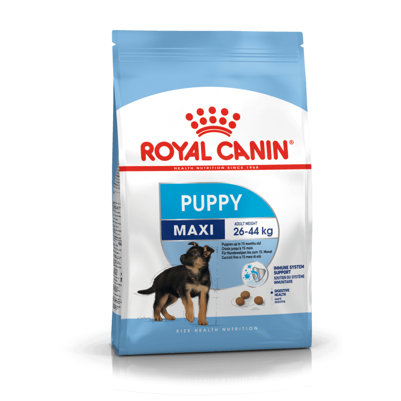 ROYAL CANIN Maxi Puppy karma sucha dla szczeniąt, od 2 do 15 miesiąca życia, ras dużych