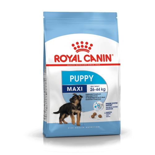 ROYAL CANIN Maxi Puppy karma sucha dla szczeniąt, od 2 do 15 miesiąca życia, ras dużych