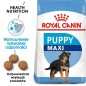 ROYAL CANIN Maxi Puppy karma sucha dla szczeniąt, od 2 do 15 miesiąca życia, ras dużych