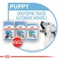 ROYAL CANIN Maxi Puppy karma sucha dla szczeniąt, od 2 do 15 miesiąca życia, ras dużych