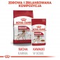 ROYAL CANIN Medium Adult karma mokra w sosie dla psów dorosłych ras średnich 10x140g