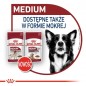 ROYAL CANIN Medium Adult karma mokra w sosie dla psów dorosłych ras średnich 10x140g