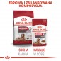 ROYAL CANIN Medium Ageing karma mokra w sosie dla psów dojrzałych po 10 roku życia, ras średnich 140g