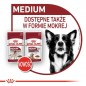 ROYAL CANIN Medium Ageing karma mokra w sosie dla psów dojrzałych po 10 roku życia, ras średnich 140g