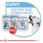 ROYAL CANIN Medium Puppy 15kg + Latarka Gratis