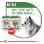 ROYAL CANIN Mini Adult 2kg - karma sucha dla psów dorosłych, ras małych