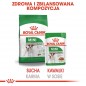 ROYAL CANIN Mini Adult karma mokra w sosie dla psów dorosłych, ras małych