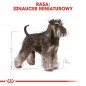 ROYAL CANIN Miniature Schnauzer Adult