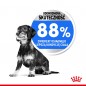 ROYAL CANIN Mini Light Care 3kg karma sucha dla psów dorosłych, ras małych tendencją do nadwagi