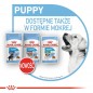 ROYAL CANIN Mini Puppy 8kg karma sucha dla szczeniąt, od 2 do 10 miesiąca życia, ras małych