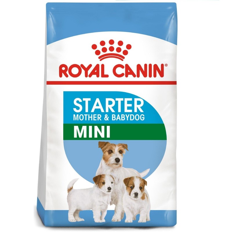 ROYAL CANIN Mini Starter Mother & Babydog