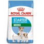 ROYAL CANIN Mini Starter Mother & Babydog