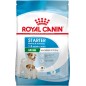 ROYAL CANIN Mini Starter Mother & Babydog 8kg