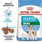 ROYAL CANIN Mini Starter Mother & Babydog 8kg